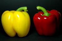 Bell Peppers in Love..